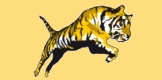 powered by chess-tigers.de